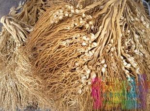 小孩子吃气喘的顺安宁有卖吗?–淘宝食品购物