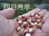 taobao english 13169317334