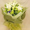 冲两钻特价白百合仅售98情人节鲜花生日送花广州鲜花速递广州花店