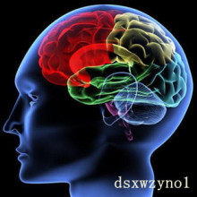 世界上最全潜意识音乐 全脑开发 潜意识cd 118个文件2G