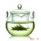 玻璃茶具 耐高温玻璃壶 有过滤芯花茶壶 手抓壶 壶杯两用 220ML