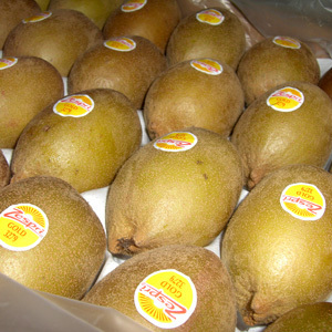  新鲜水果 包邮 进口 新西兰金奇异果5个装/弥猴桃/车厘子