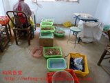 taobao english 14232477248