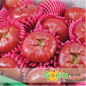  【果易来】台湾黑珍珠莲雾 新鲜水果 脆甜爽口  3斤起江浙沪包邮