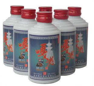  贵州茅台镇酱香型53度小酒版白酒 100ml原浆酒 好酒正品特价 包邮