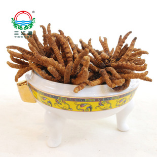  三江源牌青海冬虫夏草正品皇级天然虫草3条/g送礼盒包邮