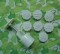 上下架计划:中秋烘培月饼模具手压式 象棋形50克圆形7片花 绿豆饼糕点DIY磨具