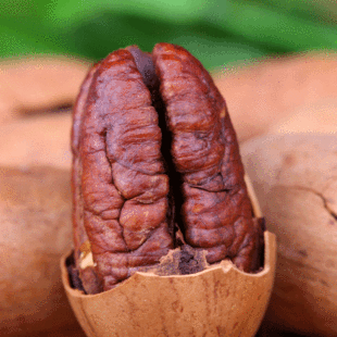  【沈家村】坚果零食 香脆中尖长寿果/碧根果/美国山核桃158g