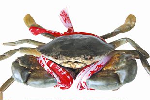  海产品 螃蟹  蟹 三门青蟹 蟹中之王 海鲜鲜活 300-400克（肉蟹）