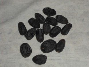  零食特产 枣类 枣类制品 枣 黑枣 有核黑枣 软枣 小柿子 特产黑枣