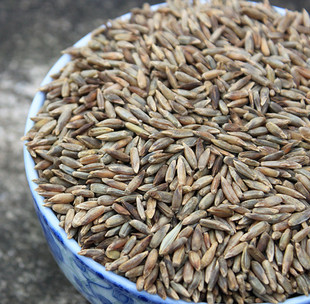  四斤起包邮 杂粮粗粮 香格里拉青稞米500g 裸大麦 降血脂血糖抗癌