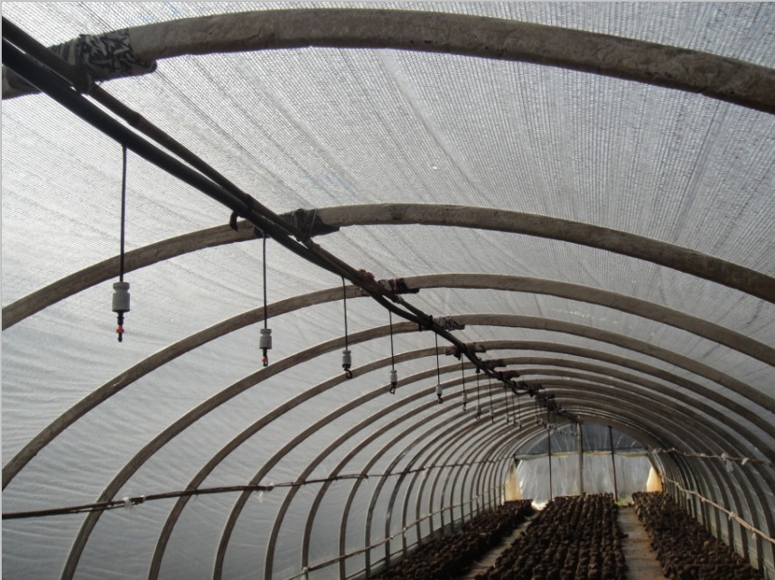 Shuangxiang brand/Patent product Black and white grid greenhouse Film Mushroom Fungus cultivation Mushroom Big filmsin the Agricultural Machinery/Farm tools/Plastic sheeting , Plastic sheeting/Tarpaulin/Network cover/Greenhouse , Agricultural film category - from Buy2taobao.com to provide professional Taobao agent buy service