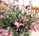 家居花艺装饰品干花绢花仿真花 仿绒皮6头小铃兰