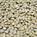 正品散称加拿大壹之选1st Choice挑嘴及活跃成猫鸡肉猫粮500g