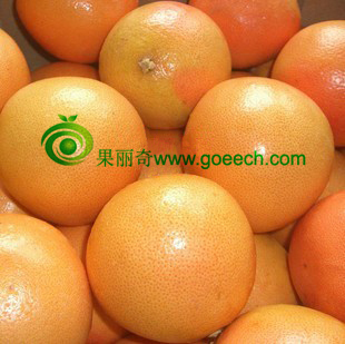 新鲜水果 进口西柚 葡萄柚 红心柚  10个3200克江浙沪包邮