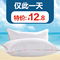 上下架计划:【1折网】枕头 枕芯颈椎保健舒适枕心九孔枕芯 一对拍2zhentou