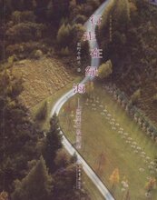 行走在绿海:新西兰私游志\碧野牛脐兰 正版 满包邮