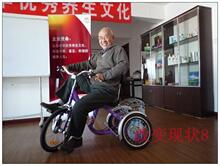 现货前驱动伟乐三轮自行车 老人车 代步车 老年残疾车 健身车