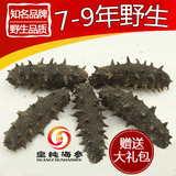 ★皇纯★淡干海参 野生海参 顶级辽参刺参干货【7-9年野生】50克