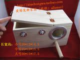 taobao english 10826962429