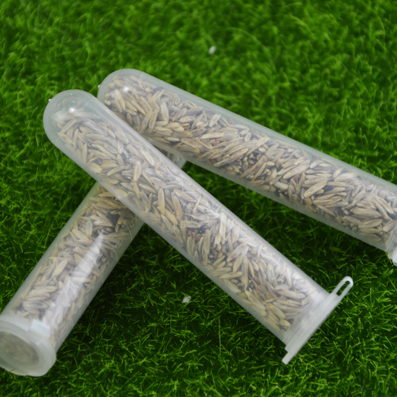 Shiwangyiguan Grass seed Various Gain Favorites Ant food 1 Two for onein the Pet/Pet food and supplies , Reptile/Insects and supplies Ming , Ant Mania category - from Buy2taobao.com to provide professional Taobao agent buy service