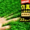 上下架计划:不买后悔！出口欧洲加密人造人工仿真草坪地毯塑料阳台假草皮包邮