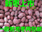 上下架计划:批发新疆红枣特产大枣若羌红枣特级若羌枣灰枣一级枣500g 原生态