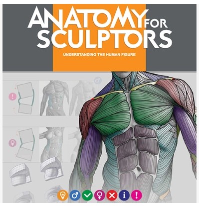 Anatomy for Sculptors |艺术家专用人体解剖教材| 特价促销!在类目 电子词典/电纸书/文化用品, 画具/画材/书法用品, 其它中 - 来自Buy2taobao.com提供专业的淘宝代购服务