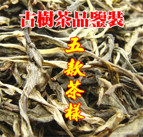 昔归古树纯料生茶
