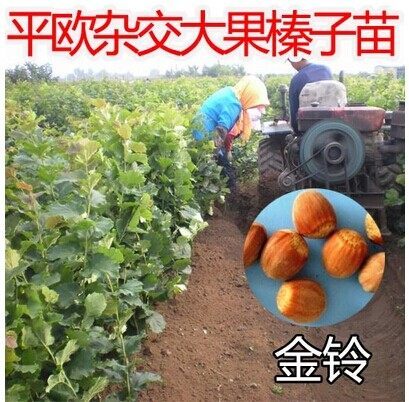 舞墨堂 企业简介PPT模板企业宣传幻灯片模板