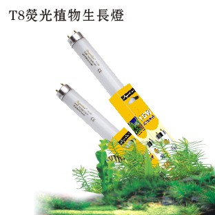 包邮富族鱼缸水族灯鱼缸灯 T8灯管水草植物造景观赏鱼显色10-40W在类目 宠物/宠物食品及用品, 水族世界, 鱼缸等水族设备, 照明器材中 - 来自Buy2taobao.com提供专业的淘宝代购服务