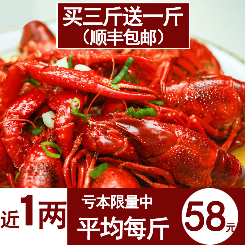 盱眙麻辣小龙虾十三香蒜泥香辣龙虾熟食1斤装7-9钱2斤包邮买3送1