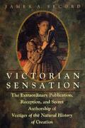 Victorian Sensation  The Extraordina...