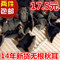 上下架计划:开店特价东北特产干货黑木耳野生秋耳无根250g 两件包邮