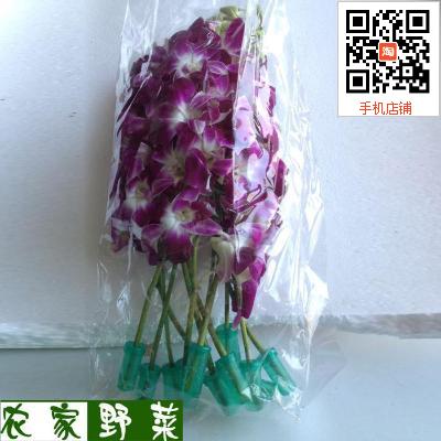 杨兰花 鲜花 中西餐装饰花 马洋兰一包28元10支 同城配送|msdalam kategori penghantaran bunga/bunga simulasi/tumbuhan berkebun, penghantaran bunga (bandar) - dari Buy2taobao.com untuk memberikan perkhidmatan ejen Taobao profesional membeli