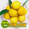 安岳柠檬9斤中果皮薄榨汁新鲜水果柠檬可选大小有坏包赔新鲜柠檬