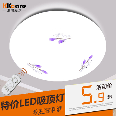 淇淇爱尔LED吸顶灯卧室灯 现代简约客厅灯阳台灯过道灯铂玉全白