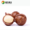 上下架计划:进口夏威夷果塞外果乡奶油口味坚果炒货零食夏威夷果500g