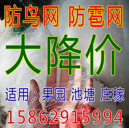 防鳥網防雹網免郵果園網葡萄網稻谷魚塘尼龍網按斤銷售量大優惠在類目 鮮花速遞/花卉仿真/綠植園藝, 園藝用品, 其它園藝用品中 - 來自Buy2taobao.com提供專業的淘寶代購服務