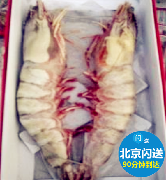 北京满额闪送渤海湾大对虾/礼品虾 【2只-400克】礼盒包装|msdalam kategori daging perikanan/Buah-buahan segar dan sayur-sayuran/dimasak, makanan laut/produk akuatik/produk, udang, udang beku - dari Buy2taobao.com untuk memberikan perkhidmatan ejen Taobao profesional membeli