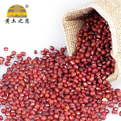 黄土之恋 红小豆农家自产红小豆五谷杂粮赤豆煮粥500g 五件包邮