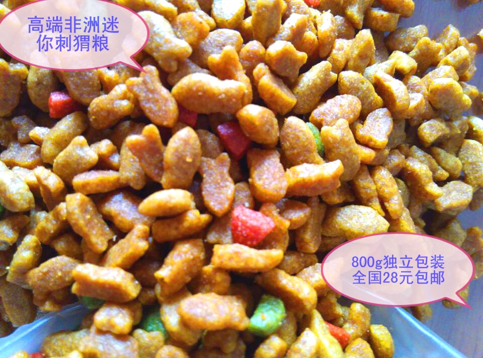 全國包郵--非洲迷妳刺猬糧食/主糧/飼料 專業刺猬糧口味清香800g在類目 寵物/寵物食品及用品, 其它寵物, 其它寵物糧食中 - 來自Buy2taobao.com提供專業的淘寶代購服務