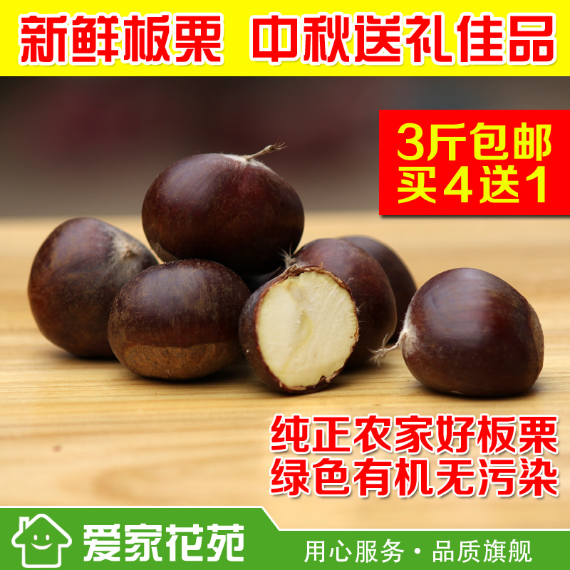 15年新鲜板栗生新鲜栗子沭河板栗油栗羊毛栗批发 3斤包邮 买4送1