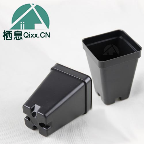 SCP250育苗方杯/方盆/小黑方/ 风信子培育盆 多肉育苗盒6.5cm方杯在类目 鲜花速递/花卉仿真/绿植园艺, 园艺用品, 育苗盘/营养钵中 - 来自Buy2taobao.com提供专业的淘宝代购服务