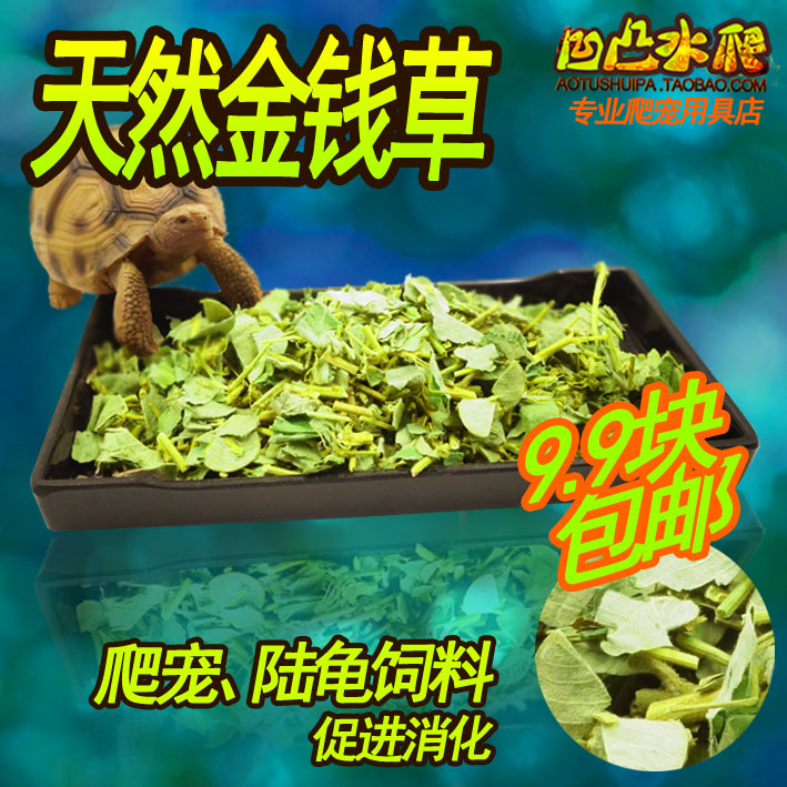 陆龟天然烘干金钱草在类目 宠物/宠物食品及用品, 水族世界, 观赏龟/鳖饲料中 - 来自Buy2taobao.com提供专业的淘宝代购服务