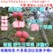 上下架计划:云南昭通冰糖心新鲜野生丑苹果 红富士 10斤大果 大果果径85 包邮