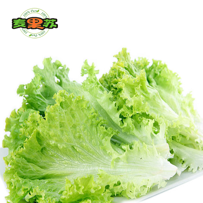 綠葉生菜新鮮沙拉菜滿138順豐包郵綠珊瑚生菜綠毛餐廳配送在類目 水產肉類/新鮮蔬果/熟食, 新鮮蔬菜/蔬菜製品, 新鮮蔬菜, 其它中 - 來自Buy2taobao.com提供專業的淘寶代購服務