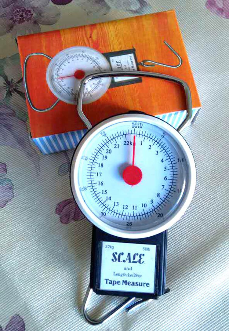 Seaside Tape portable Portable says Spring balance Hanging Scales gift fish hook Mini scales Kitchen Scalein the Kitchen/Cooking utensils , Kitchen Gadgets/Kitchen storage , Kitchen Scale/Measurement scales , Portable scales/Hanging Scales category - from Buy2taobao.com to provide professional Taobao agent buy service