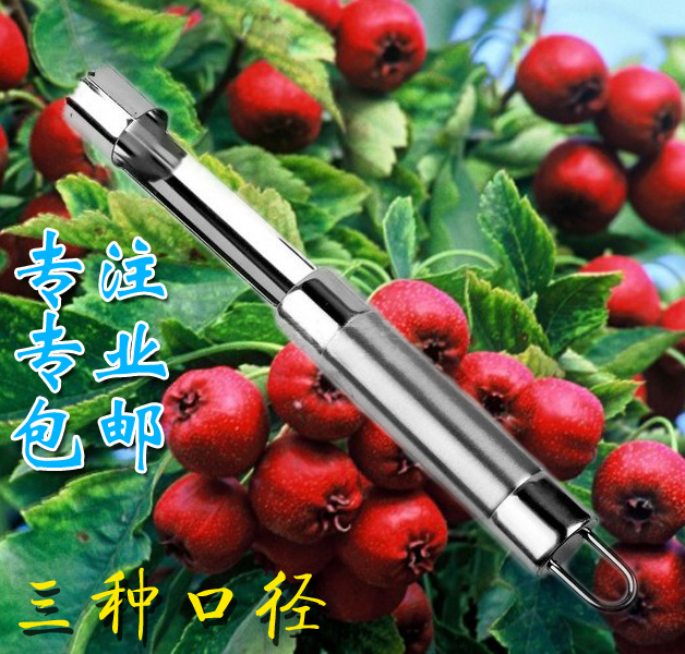 不锈钢糖葫芦专用大小号山楂去核器 刀 冲孔 工具 去芯 5个包邮在类目 厨房/烹饪用具, 厨用小工具/厨房储物, 水果分割器中 - 来自Buy2taobao.com提供专业的淘宝代购服务