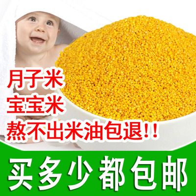 沂蒙山区有机黄小米月子米小黄米宝宝米250g无化肥农药熬小米粥